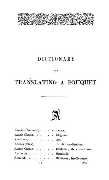 DictionaryforTranslatingBouquet.jpg