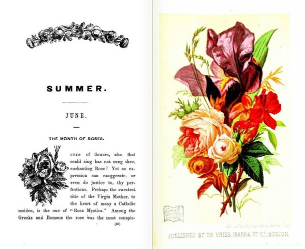 LanguageofFlowers(Boston,1865)June.JPG