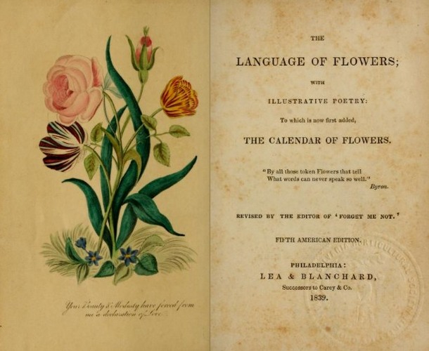 LanguageofFlowers(Philadelphia,1839).JPG