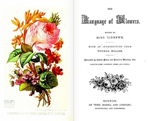 TheLanguageofFlowers(1865).JPG